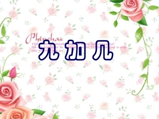 加几公开课定