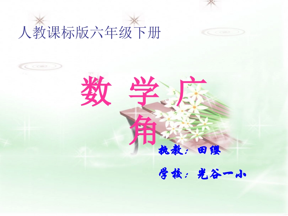 抽屉原理田缨_第1页