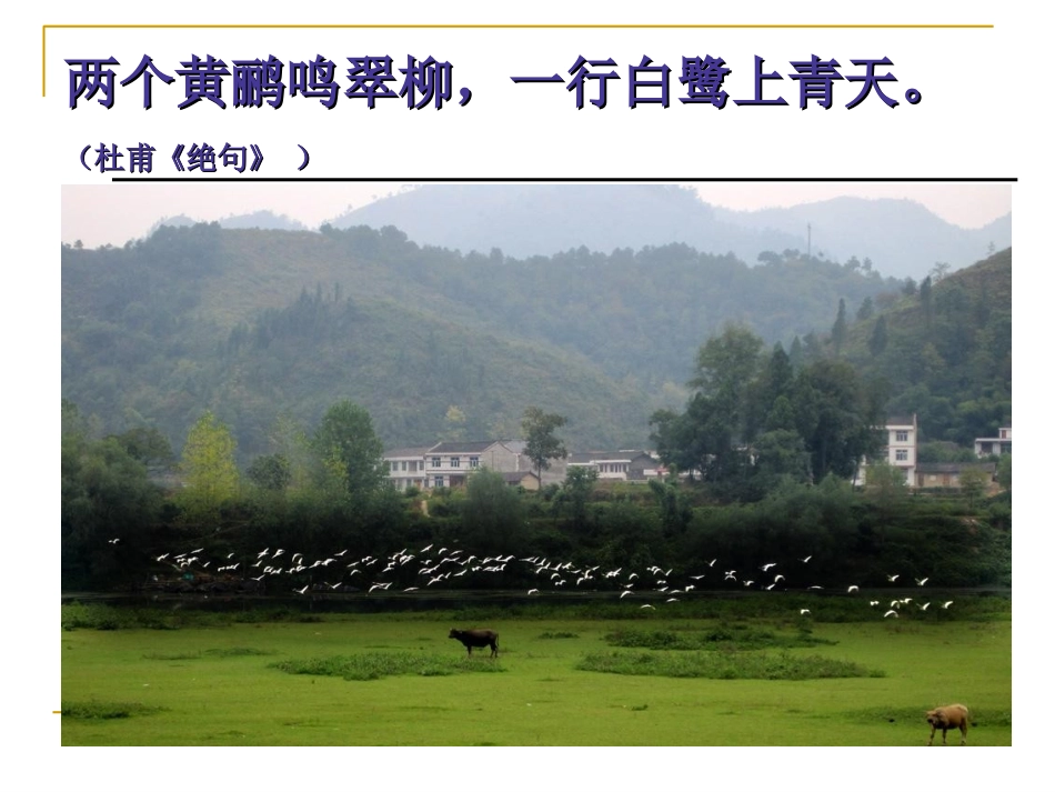 动物在生物圈中的重要作用_第2页