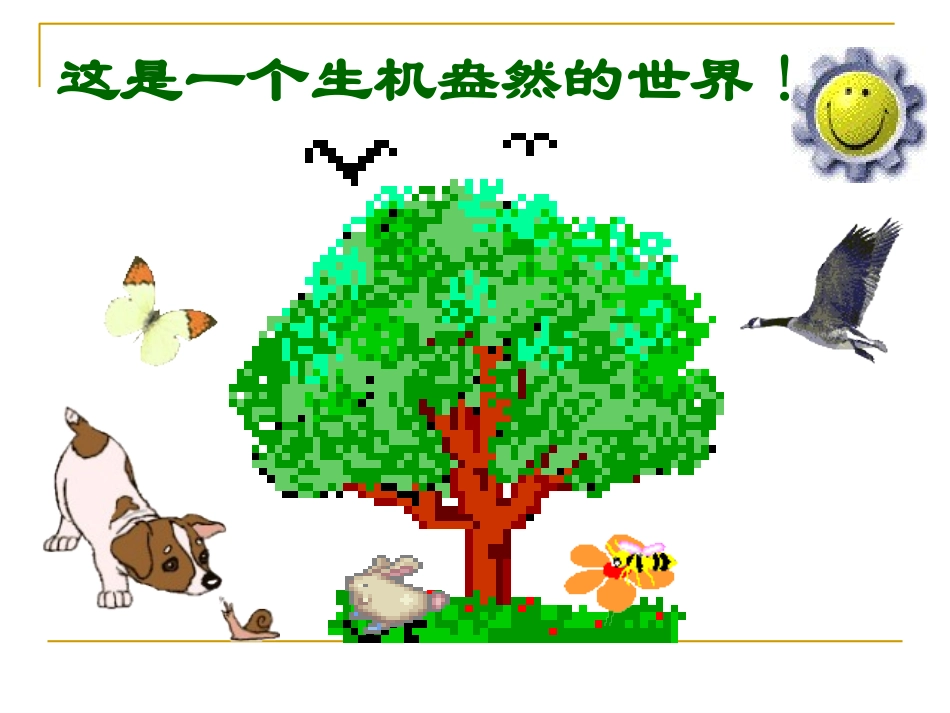 动物在生物圈中的重要作用_第3页
