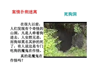 二氧化碳的性质1