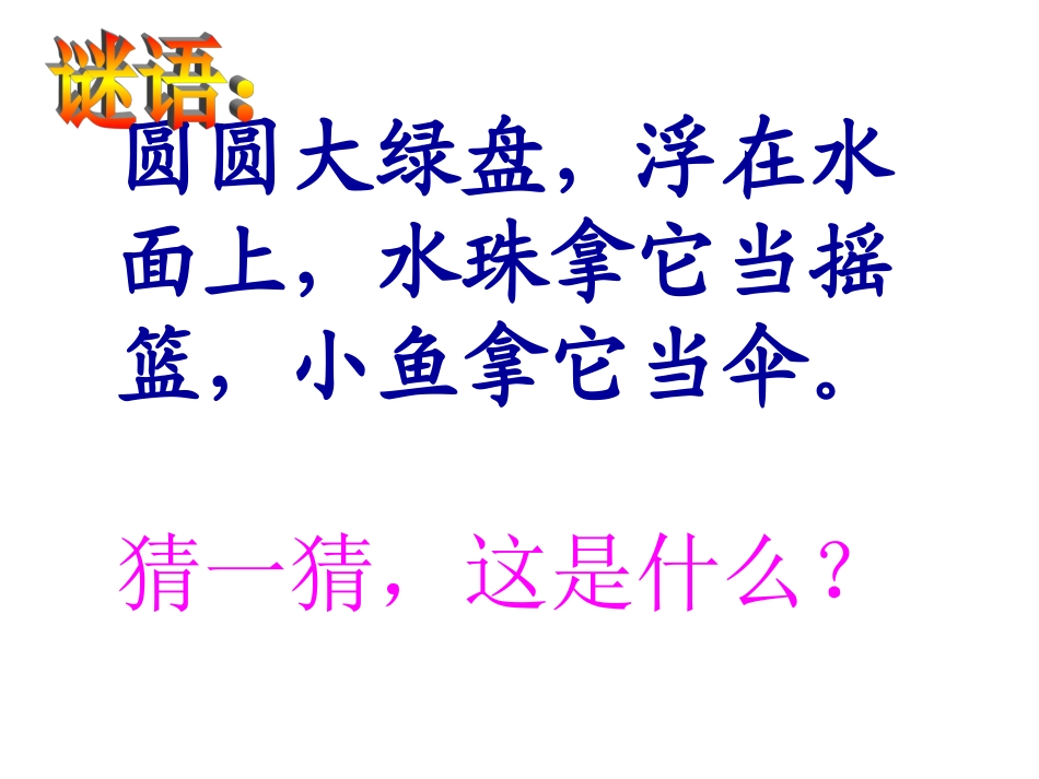 人教版一年级下册_14《荷叶圆圆》_课件_第1页