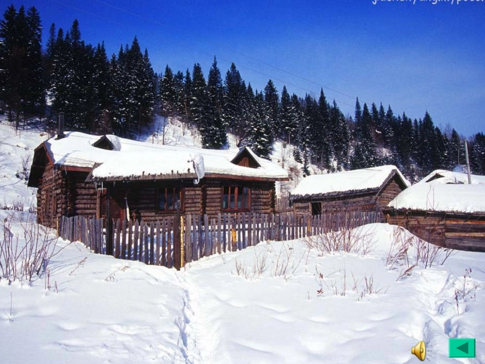 美丽的小兴安岭课件_第3页