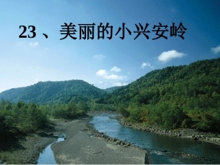 美丽的小兴安岭课件