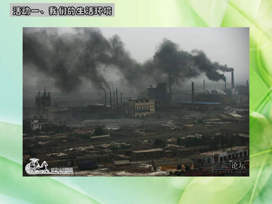 人教版品德与社会六下《我们能为地球做什么》PPT课件_第3页