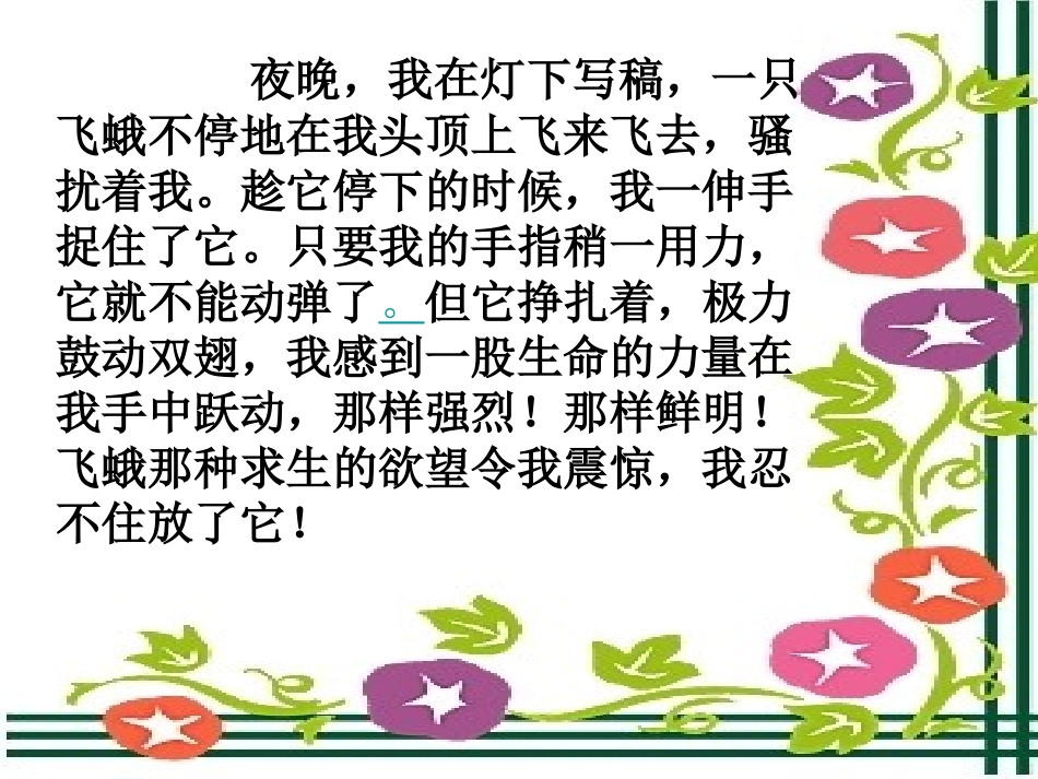 生命生命第二课时_第3页