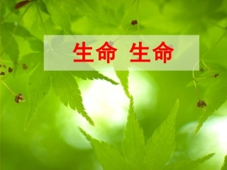 生命生命第二课时