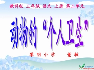 动物的个人卫生