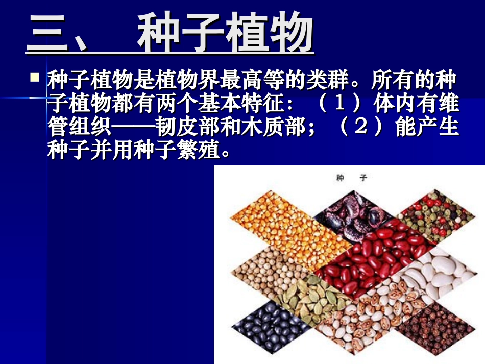 植物的主要类群第二课时_第1页