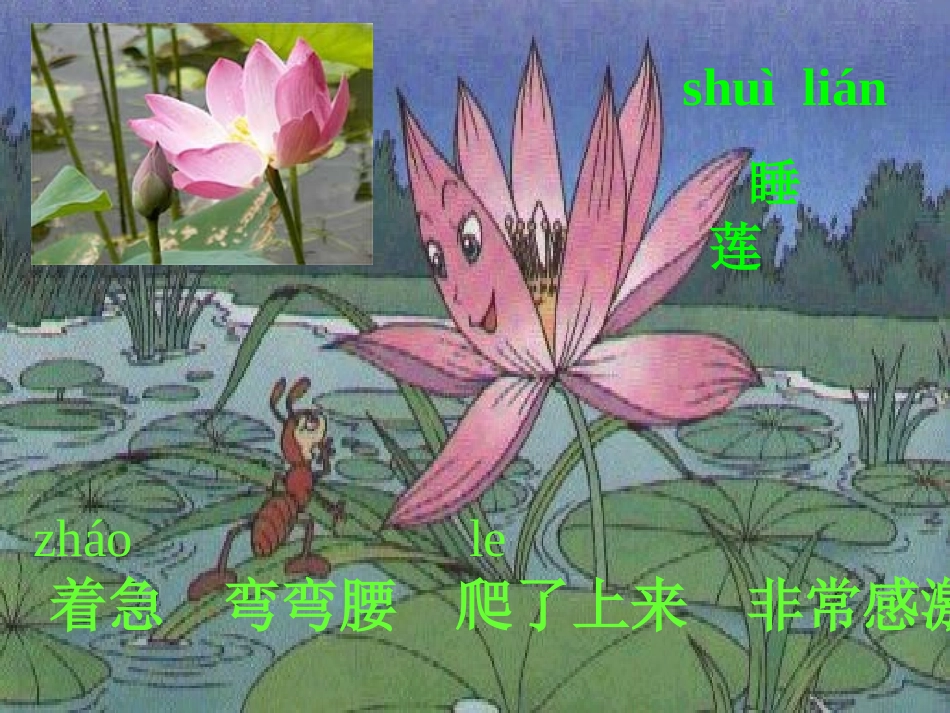 夏夜多美课件课件_第3页