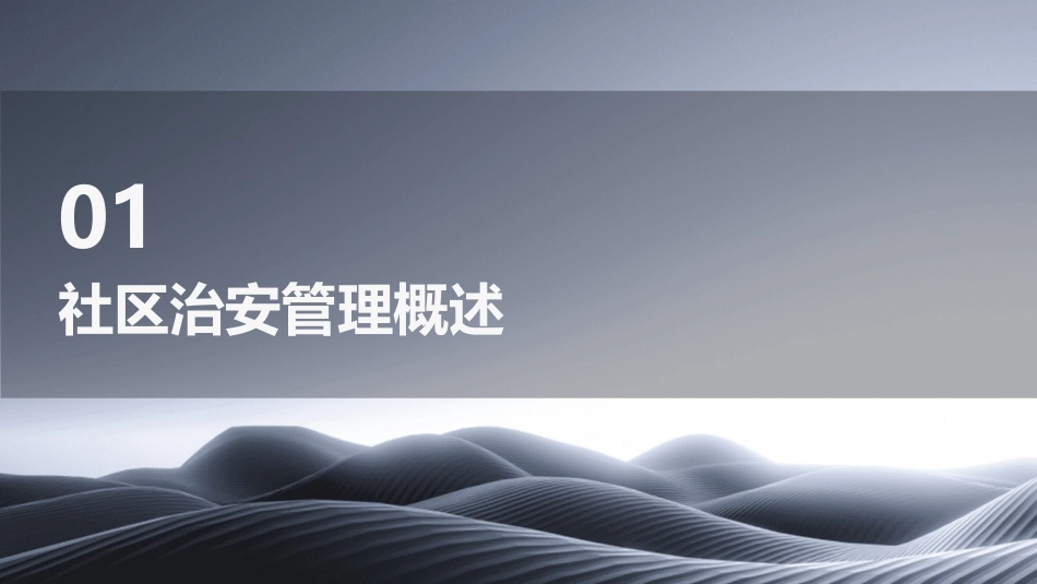 社区治安管理课件_第3页