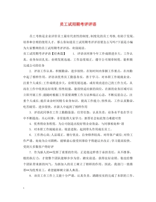 员工试用期考评评语 