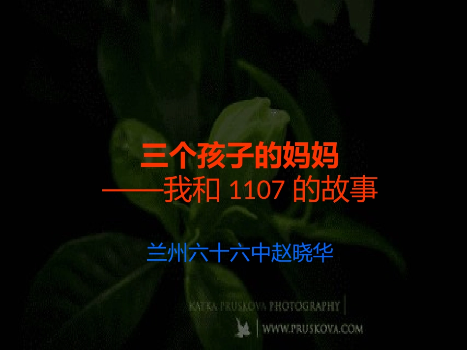 三个孩子的妈妈_第1页