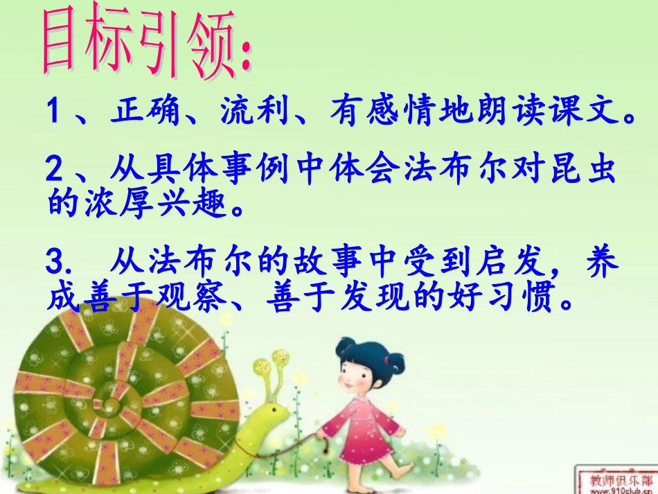 装满昆虫的口袋课件_第2页