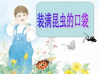 装满昆虫的口袋课件