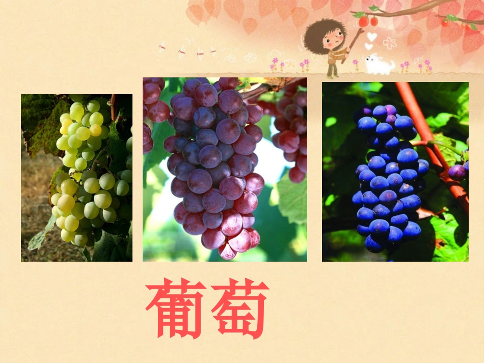 人教版语文二年级下册10葡萄沟_第2页