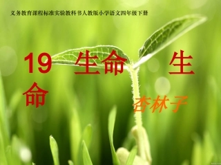 四年级语文《生命生命》优质课课件