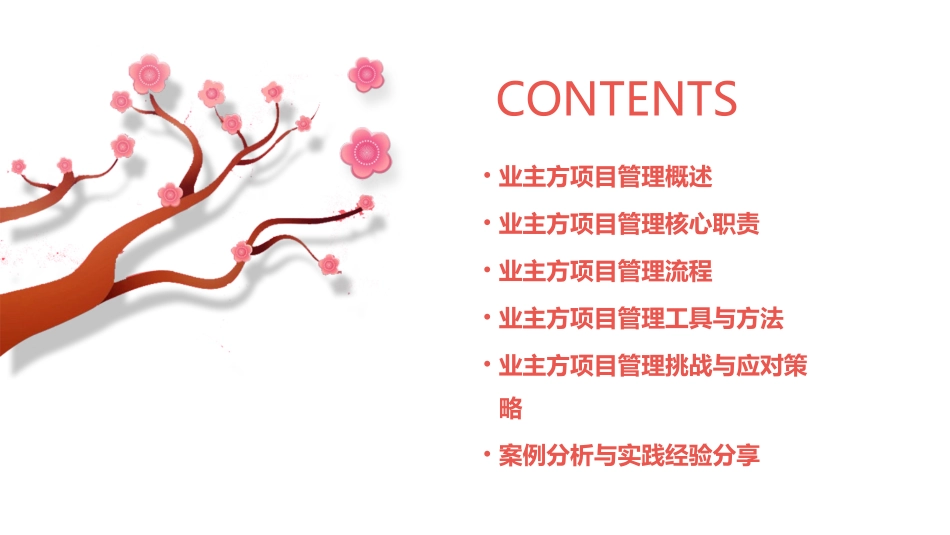 业主方的项目管理课件_第2页