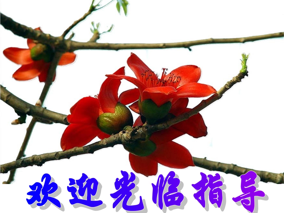 平行与垂直PPT课件_第1页