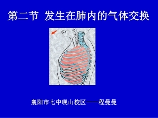 生物课件：肺内气体交换