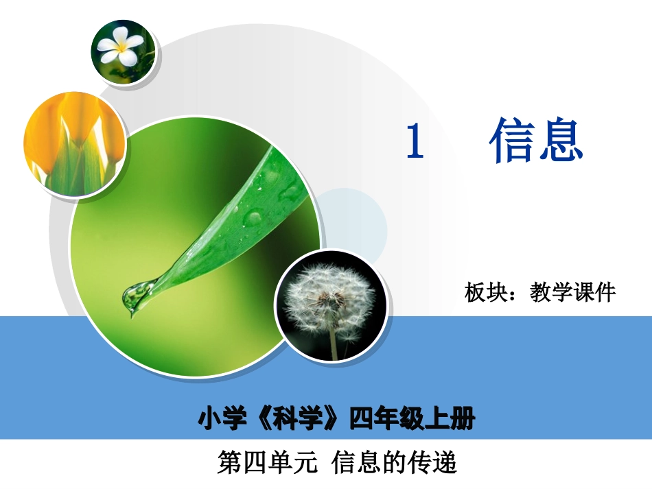 信息教学课件_第2页