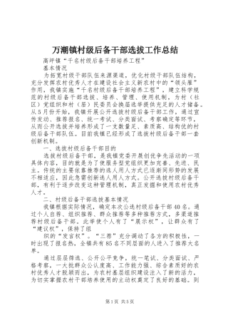 万潮镇村级后备干部选拔工作总结 
