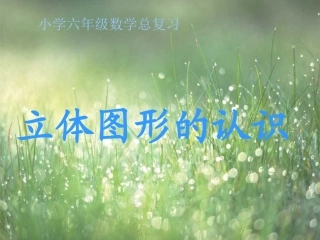 立体图形的认识