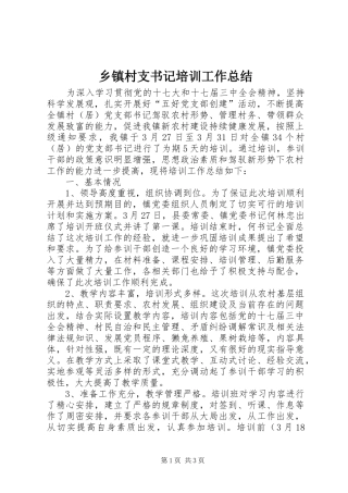 乡镇村支书记培训工作总结 