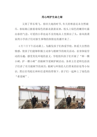 用心呵护生命之绿
