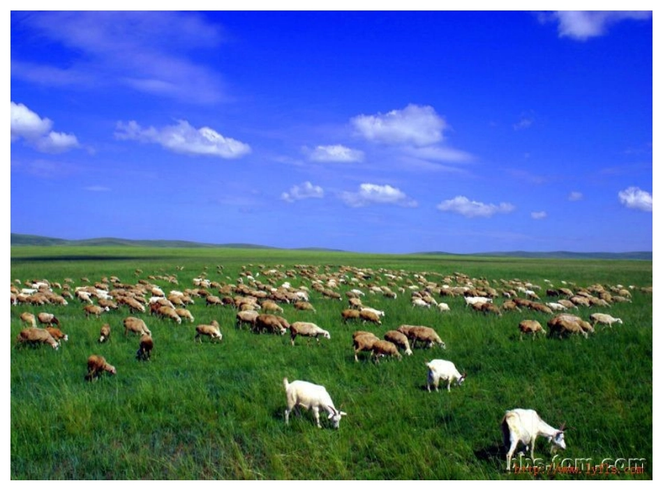 草原的早晨 (2)_第2页