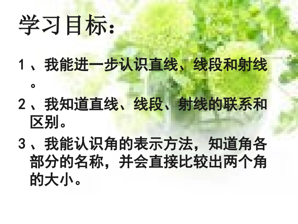 《线段、直线、射线和角》 (2)_第3页