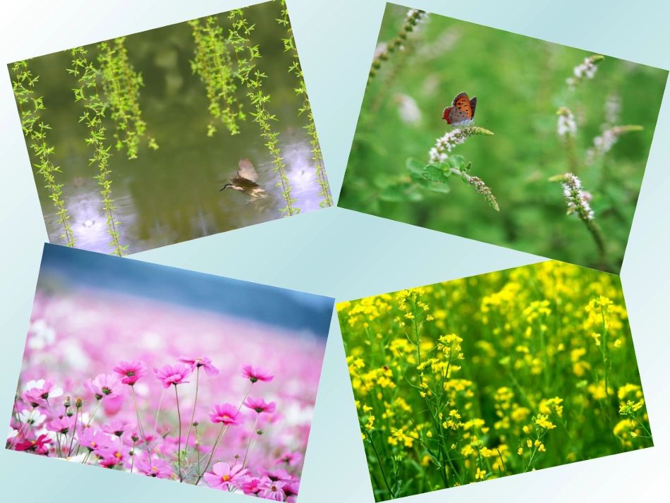 《四季》课件3_第2页