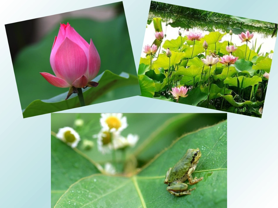 《四季》课件3_第3页