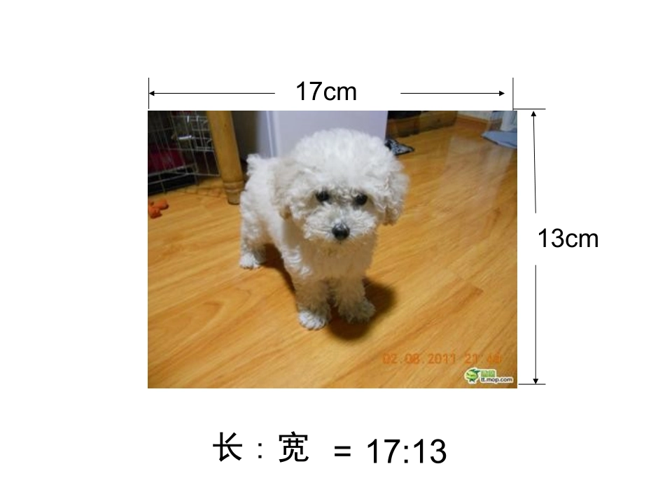 《比例的意义和基本性质》教学课件鲁永胜_第3页