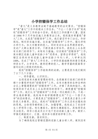 小学控辍保学工作总结 