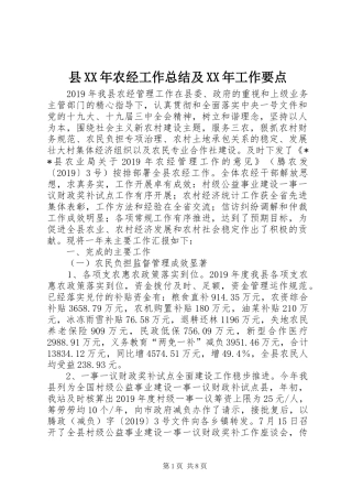 县XX年农经工作总结及XX年工作要点 