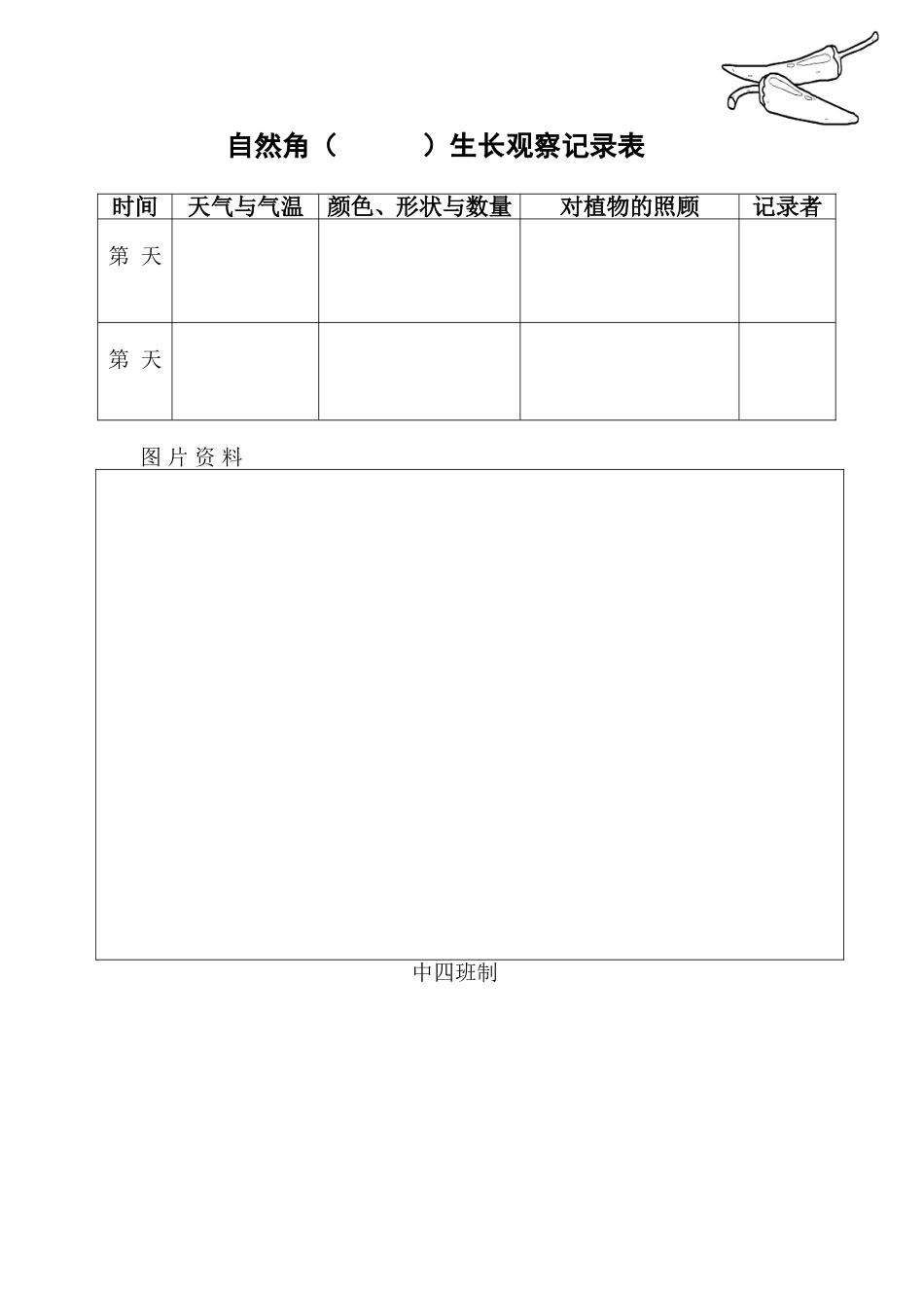 幼儿园植物生长观察记录表_第1页