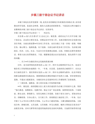 乡镇三级干部会议书记讲话