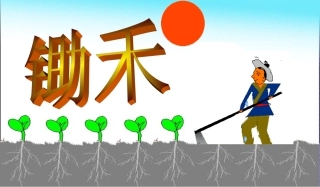 课古诗两首课件