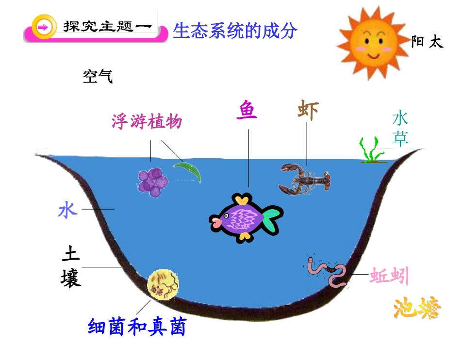 丛生态系统的组成_第2页