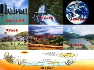 丛生态系统的组成