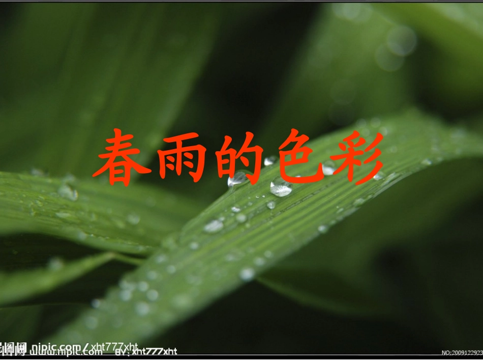 春雨的颜色 (2)_第1页