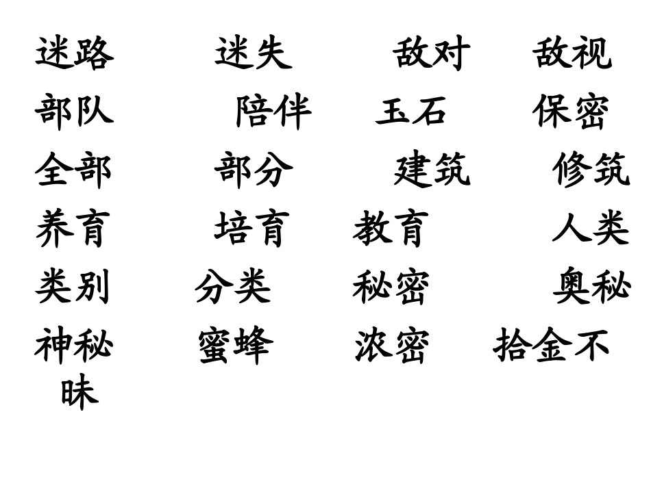 《鸟岛》课件_第3页