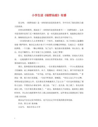 小学生读《绿野仙踪》有感 