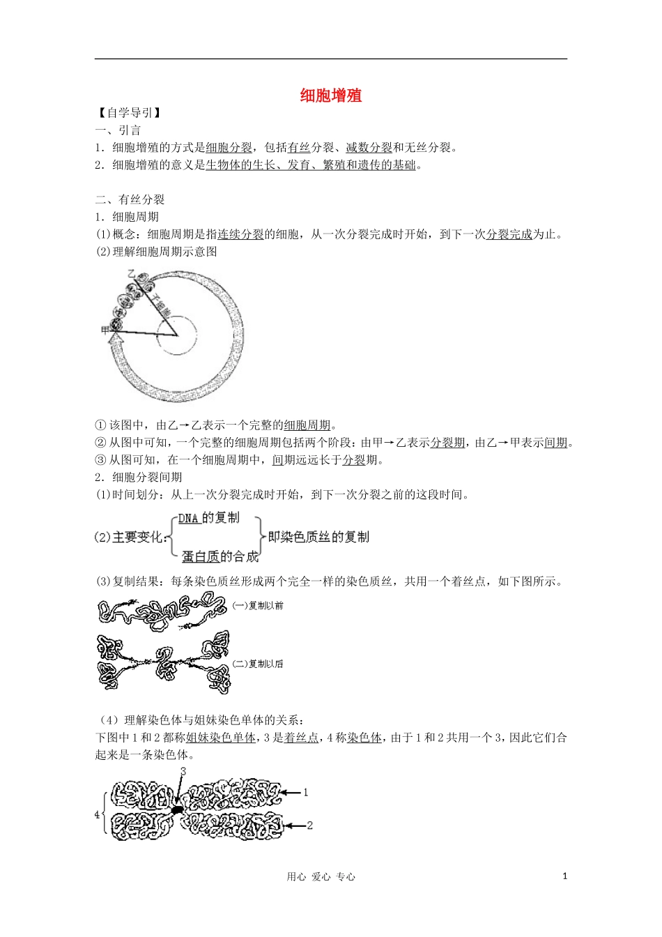 2012届高三生物二轮复习-细胞增殖教案2-人教版_第1页