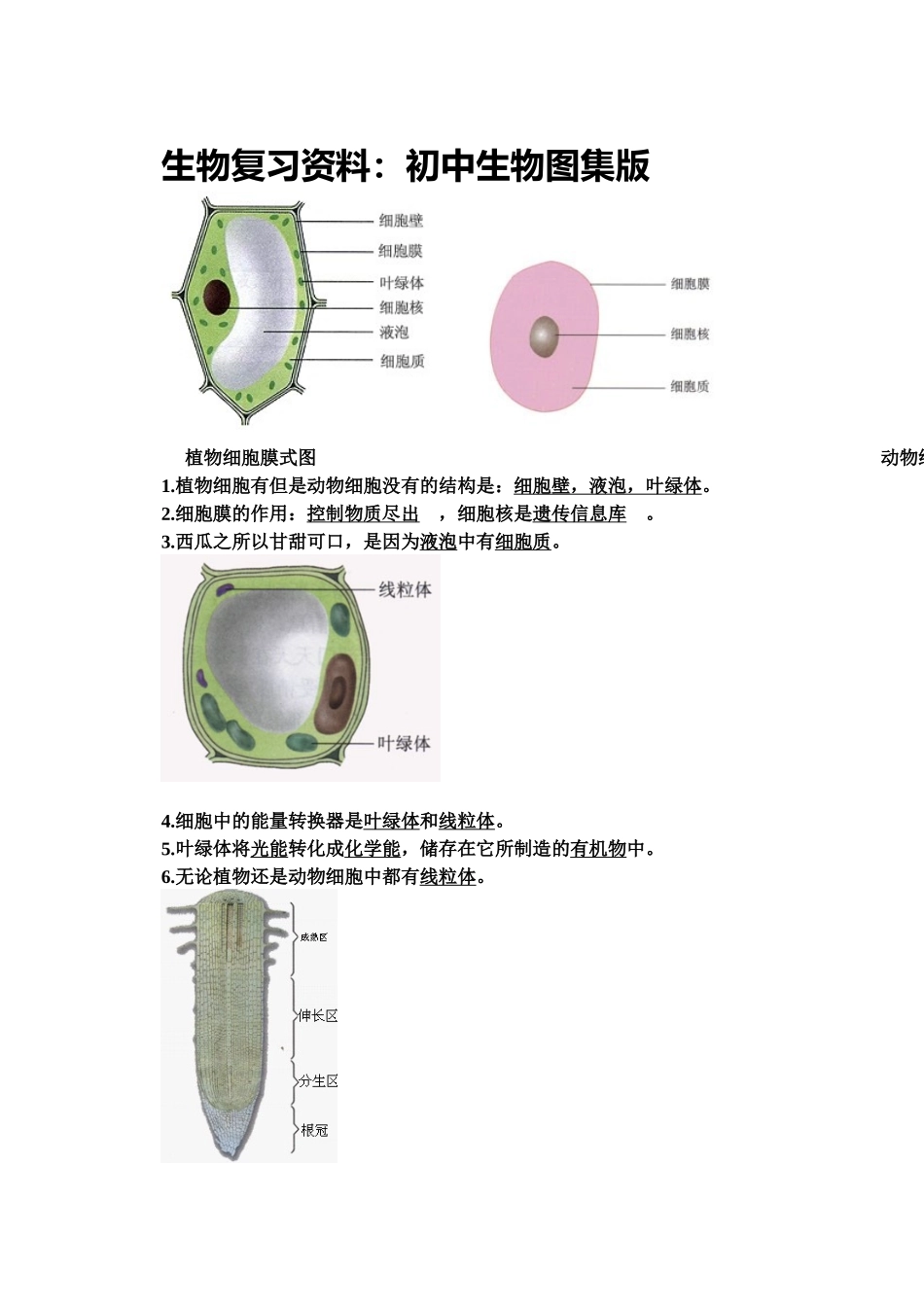 生物会考复习资料：初中生物图集(附题目)(人教版)_第1页