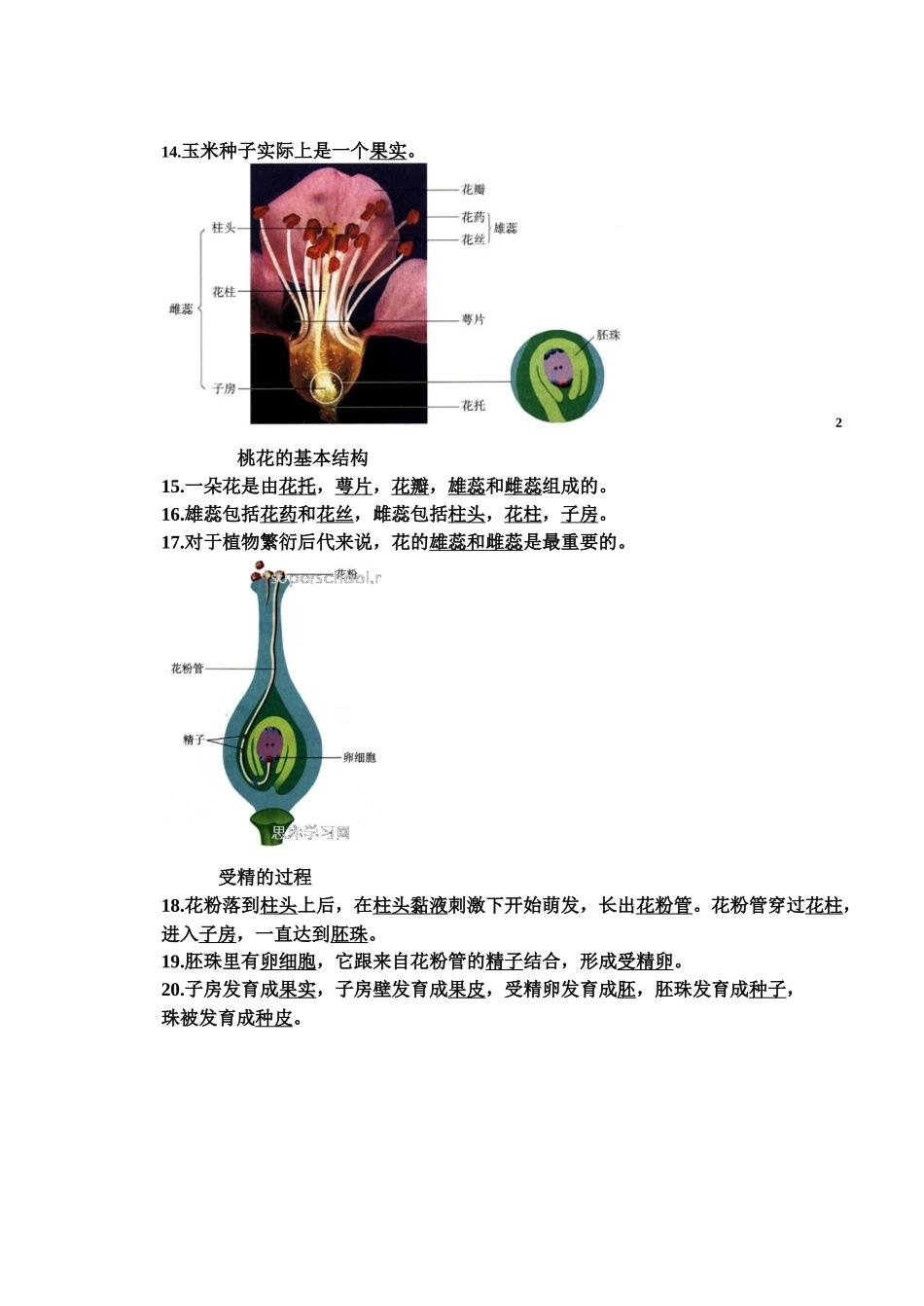 生物会考复习资料：初中生物图集(附题目)(人教版)_第3页