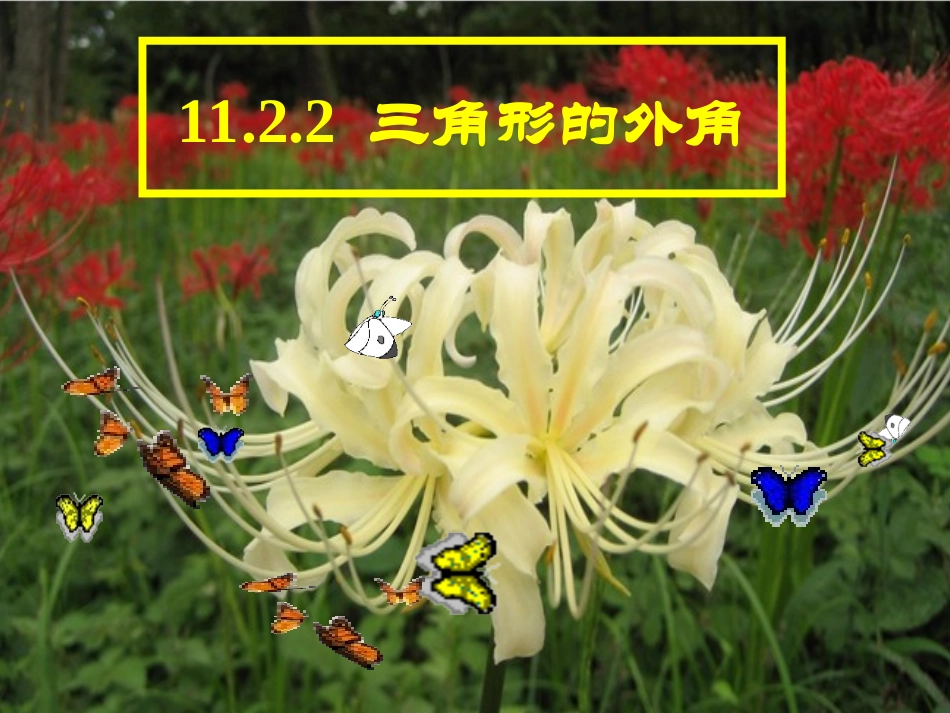 与三角形有关的角外角_第1页