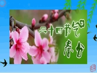 二十四节气之“春分”（四2班）