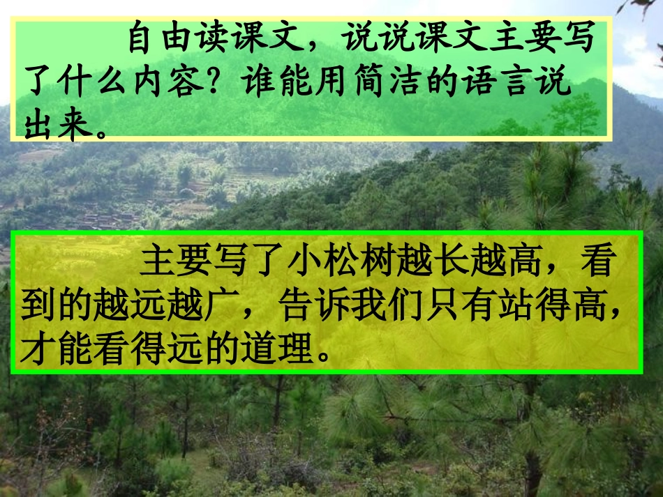 《小松树》课件_第3页